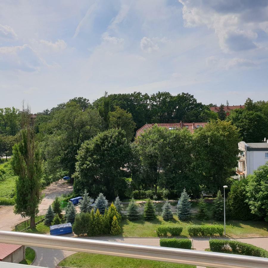 Appartement Apartament Calamo Park à Olsztyn  Extérieur photo